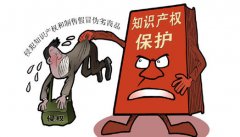 知識(shí)產(chǎn)權(quán)保護(hù)對(duì)于一個(gè)國(guó)家的意義到底在哪里？